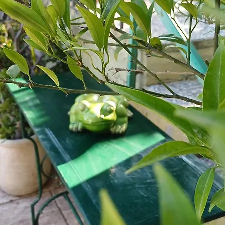 Oda ve Kahvaltı Peiranze144